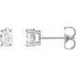 Oval 4-Prong Lightweight Stud Earrings 