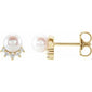 Accented Pearl Earrings