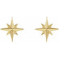 Star Earrings  