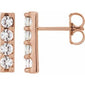 Accented Bar Earrings