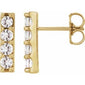 Accented Bar Earrings 1/2 CTW