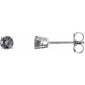 Round 4-Prong Lightweight Stud Earrings 14K White